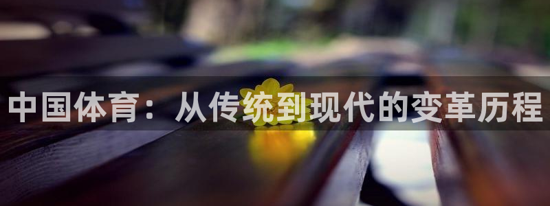 191体育馆：中国体育：从传统到现代的变革历程