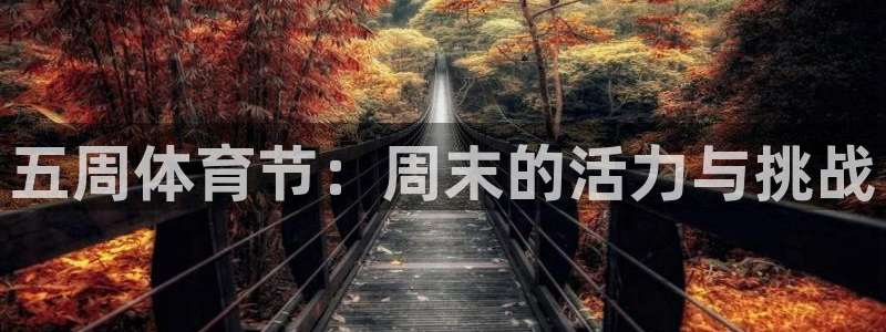 991体育综合1：五周体育节：周末的活力与挑战