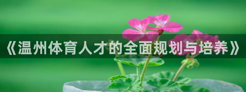 91体育：《温州体育人才的全面规划与培养》