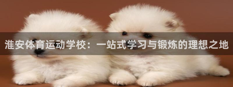 191体育馆：淮安体育运动学校：一站式学习与锻炼的理想之地