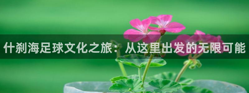 191体育馆：什刹海足球文化之旅：从这里出发的无限可能